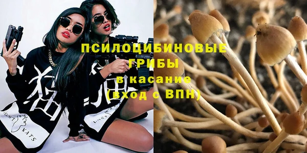 COCAINE Белокуриха